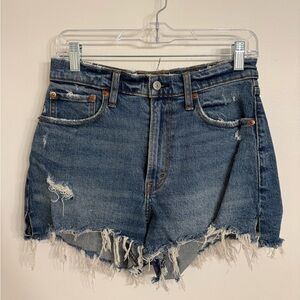 Abercrombie & Fitch - The Cutoff Short - High Rise - Curve Love 26